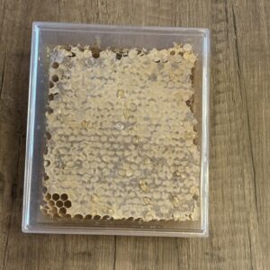 miel en rayon (grand modèle)